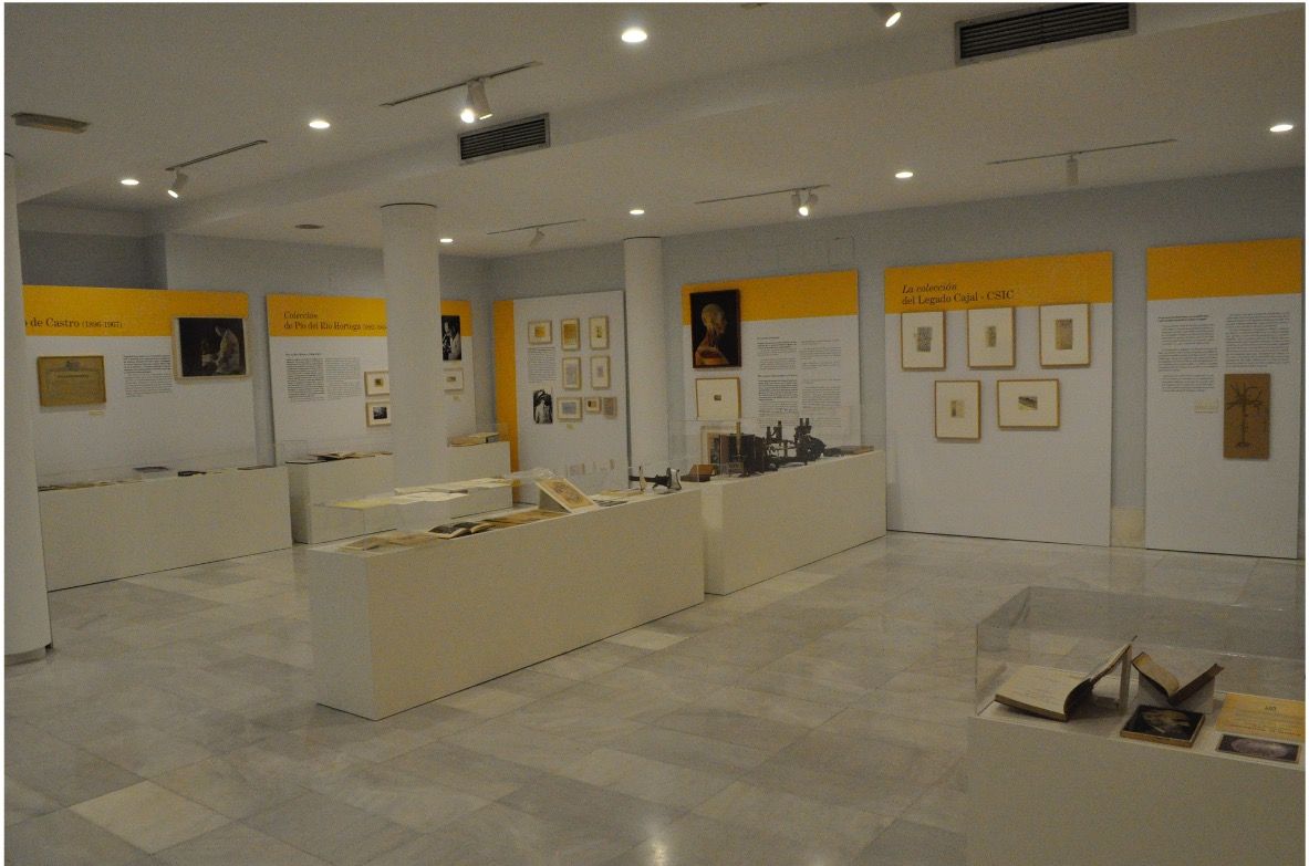 Una galería de arte moderna con paredes blancas y vitrinas que exhiben obras de arte enmarcadas, libros y artefactos. En las paredes hay carteles informativos con encabezados amarillos. El piso de la galería está compuesto por grandes azulejos de colores claros y el espacio está bien iluminado.